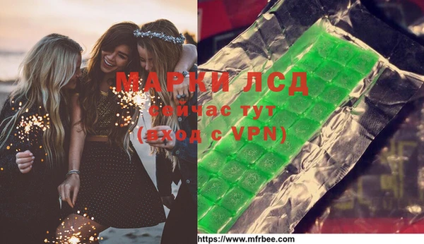 прущие грибы Пролетарск