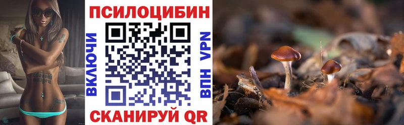 Псилоцибиновые грибы Cubensis где найти Остров
